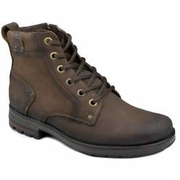 Bota Masculina Pegada Zíper - CASTANHO/BROWN